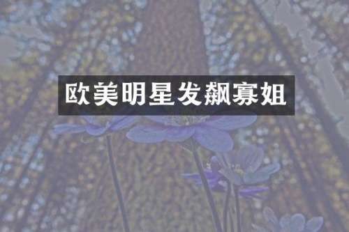 欧美明星发飙寡姐