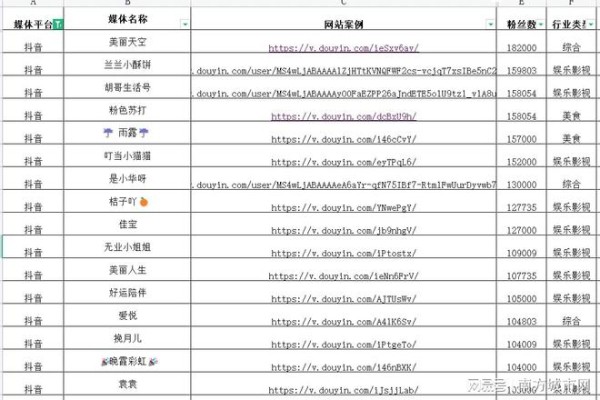 抖音KOL代发服务全解析：如何精准匹配KOL，实现营销ROI最大化
