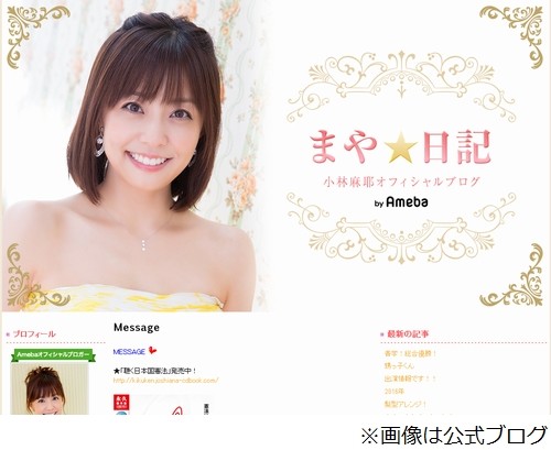 小林麻耶博客资料图