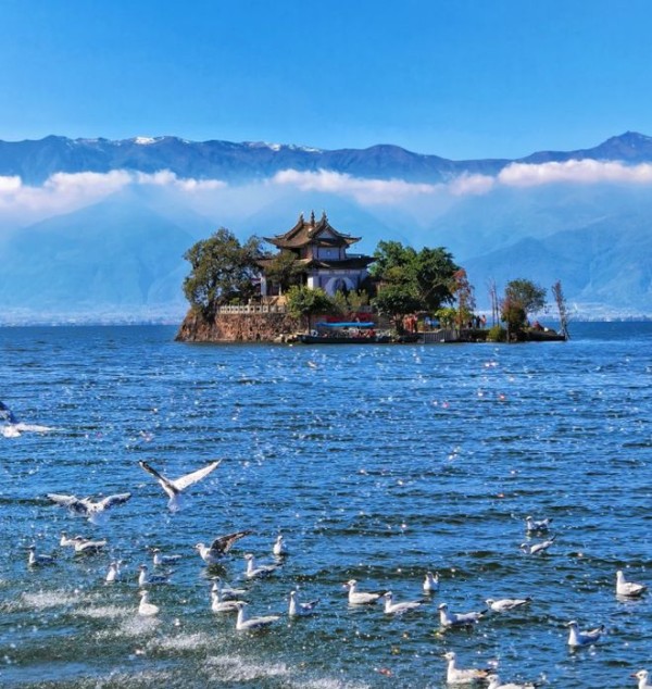 寒假邂逅云南，网红定制亲子游小包团，9天8晚私密行程，预定攻略