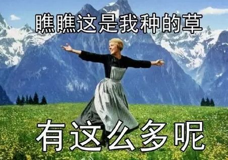 明星们私密旅行照曝光！没想到私下竟然是这样的...