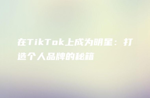 在TikTok上成为明星：打造个人品牌的秘籍