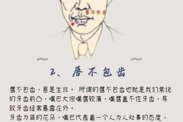 明星眼神里的秘密：揭秘面相中的魅力磁场