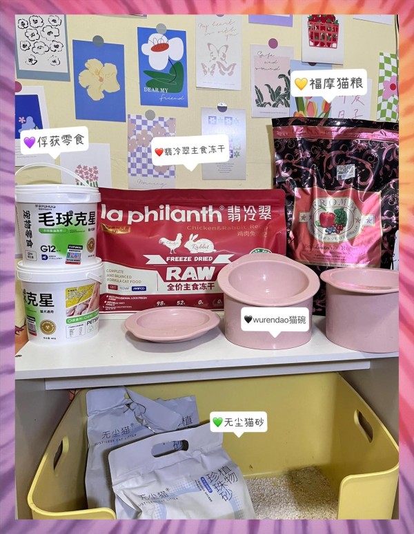 粉丝文化现象：深度解析与治理路径
