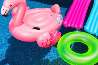 明星品牌玩具，玩转潮流，引领时尚