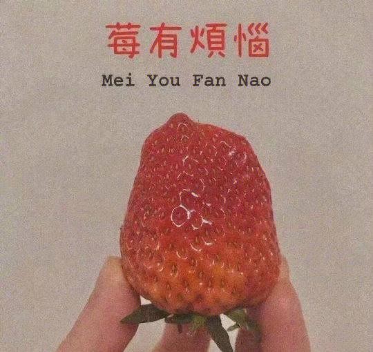 艺人职业道路：从素人到明星的转变