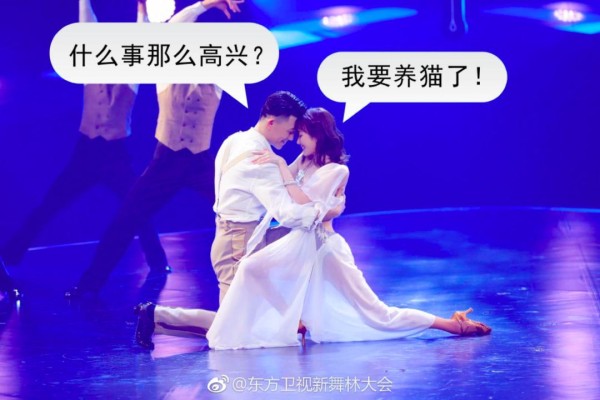 《新舞林大会》:来看看明星三个月的舞蹈晋升之路吧
