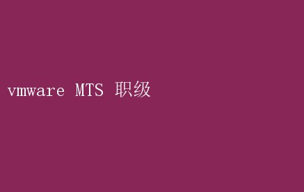 vmware MTS 职级 揭秘VMware MTS职级晋升之路