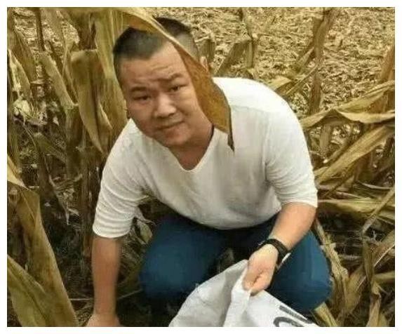 明星回农村的样子，王源放飞自我，赵丽颖插秧种田，看他：太嗨了