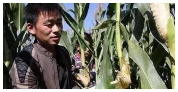 明星回农村的样子，王源放飞自我，赵丽颖插秧种田，看他：太嗨了