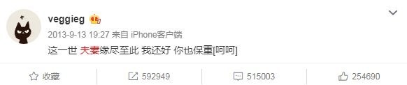 明星离婚声明怎么写？王菲李亚鹏像情书，谢霆锋官方，她的最难看