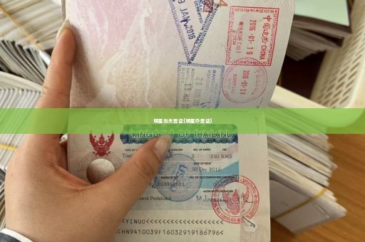明星当天签证(明星办签证)