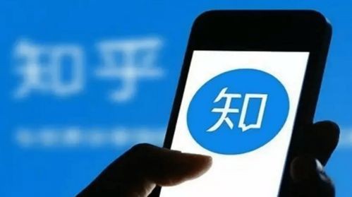 网友爆料称或因版权违规问题,疑似因版权违规，某平台遭遇争议与整改