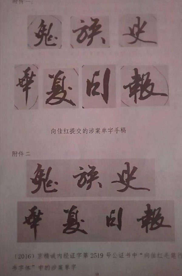 我愿称徐子未是公司版权保镖第一人！难得有如此有版权意识的爱豆
