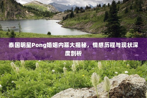泰国明星Pong婚姻内幕大揭秘，情感历程与现状深度剖析