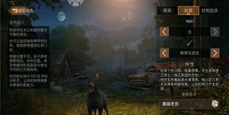 明日之后杜宾明星性格详解