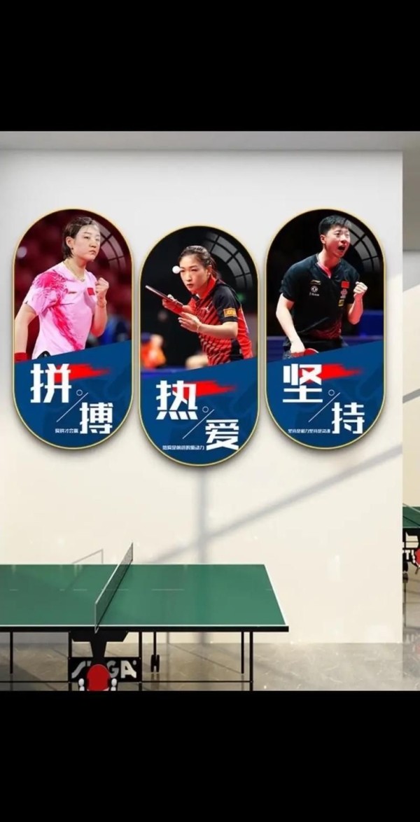 体育明星励志视频合集网盘资源(精选六篇)