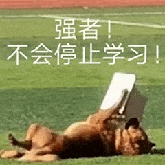 基于多视频的3D面部重建与实时跟踪技术