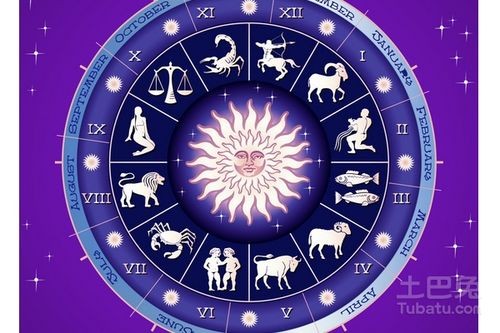 紫微斗数揭秘:你的生肖星座预示的完美伴侣长相!
