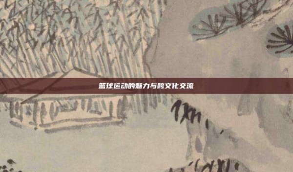 篮球运动的魅力与跨文化交流