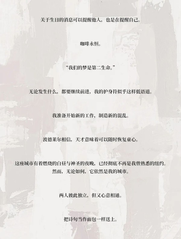《从昨日醒来：帕蒂·史密斯的影像日记》部分文字