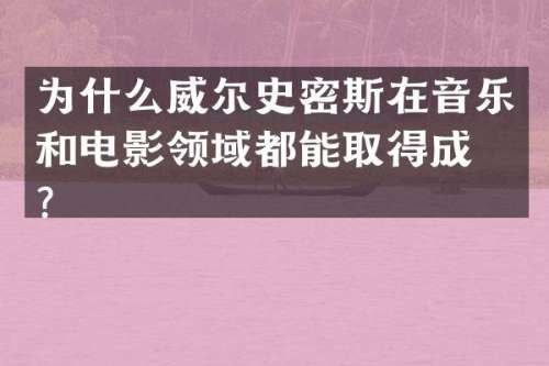 为什么威尔史密斯在音乐和电影领域都能取得成功？