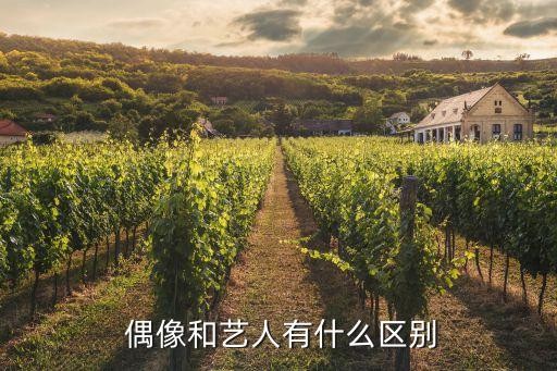 偶像原来是指什么,偶像的网络用语指什么