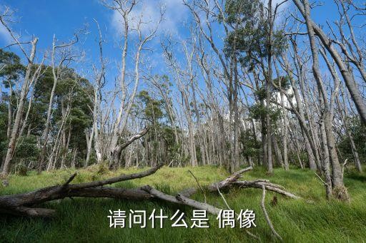 请问什么是 偶像