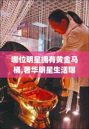 哪位明星拥有黄金马桶,奢华<a target=