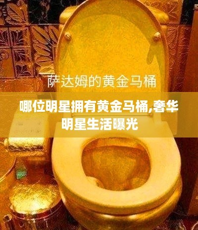 哪位明星拥有黄金马桶,奢华<a target=