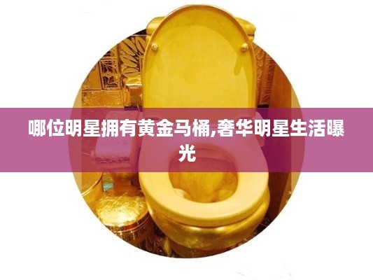 哪位明星拥有黄金马桶,奢华<a target=