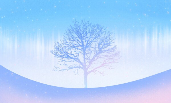 2023哈尔滨最好的艺考培训学校有什么 怎样选择