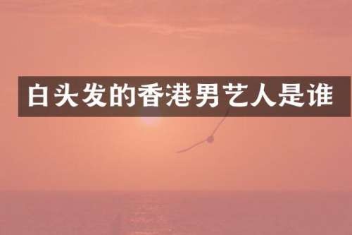 白头发的香港男艺人是谁