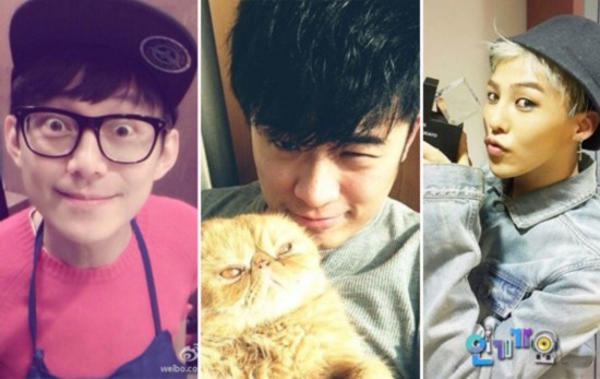 权志龙秀智鹿晗何炅杨幂唐嫣 中韩明星呆萌生活照PK