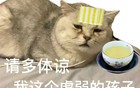 中国孩子平均休学年龄14岁，家长看完心疼但无奈