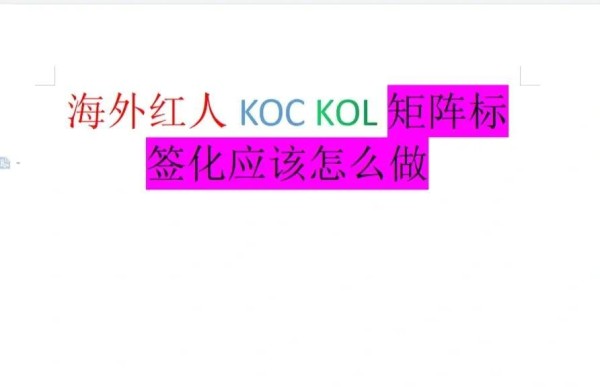 海外红人营销：矩阵与标签化策略