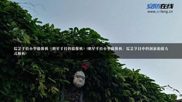 综艺手持小型摄像机（明星手持的摄像机）(明星手持小型摄像机：综艺节目中的创新拍摄方式解析)