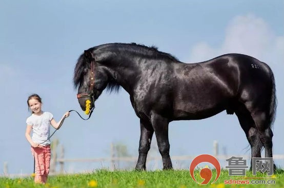群星音乐节6月7日开唱东平湖畔 多位明星大咖倾力加盟