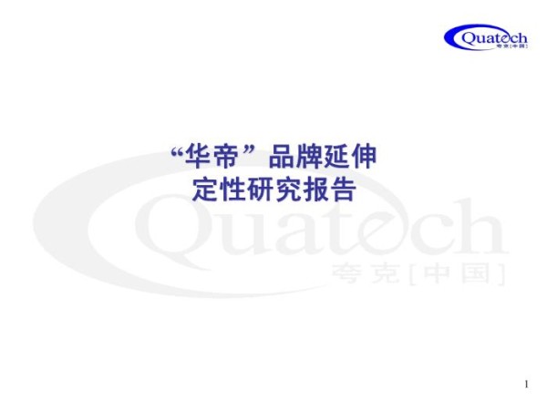 “华帝”品牌延伸定性研究报告