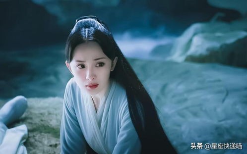 娱乐圈星座修仙达人