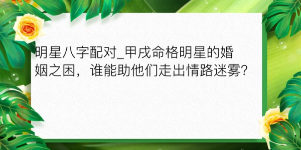 明星八字配对