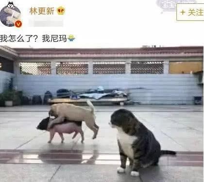 他是最小气的明星，不肯花钱撤热搜，凌晨5点半还在怼黑
