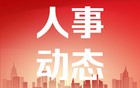 最新！上海两区发布人事任免消息