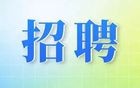 山东水发集团招聘公告
