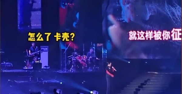 一场演唱会，揭开了那英的真面目，怪不得被宋祖德喊话封杀
