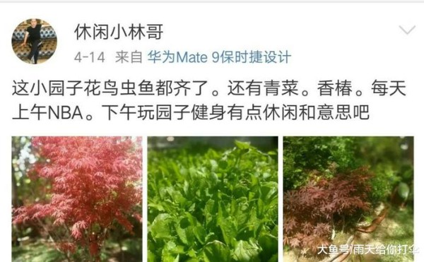 星爸星妈壕无人性！杨幂爸拿10万一平的房子种菜，爽妈有半柜茅台