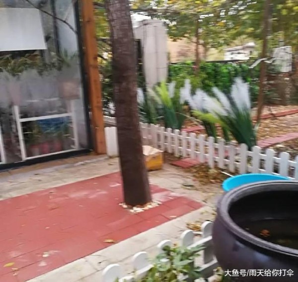 星爸星妈壕无人性！杨幂爸拿10万一平的房子种菜，爽妈有半柜茅台
