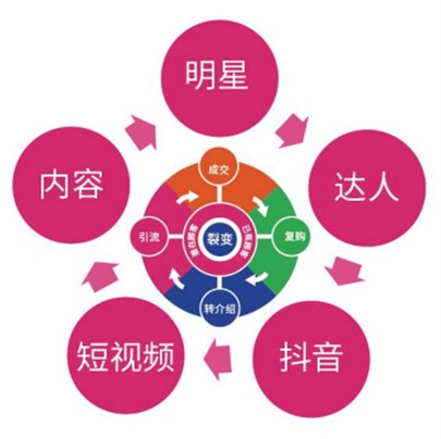 幕后推手曝光，明星餐饮并非“明星+餐饮”