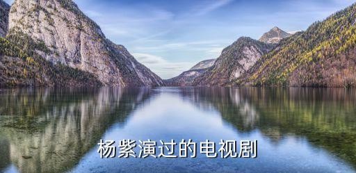 杨紫演过的电视剧