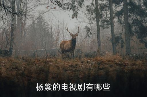杨紫的电视剧有哪些